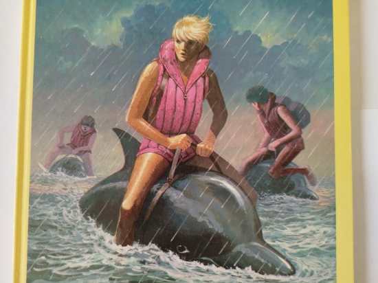 LA PATROUILLE DES CASTORS n°27 Blocus eo 1987 TTBE+++