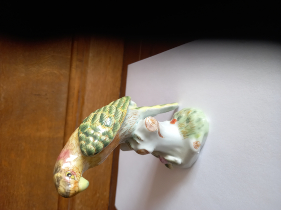 Perroquet Porcelaine TTBE