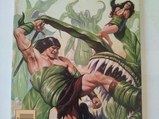 CONAN n°19 eo 1991 TTBE++