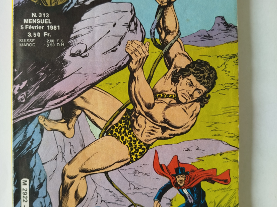 ZEMBLA n°313 eo 1981 TBE++++