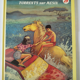 LA PATROUILLE DES CASTORS n°29 Torrents sur mesin eo 1990 TTBE++ thumbnail